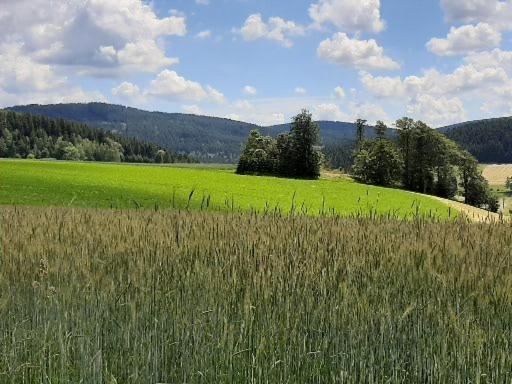 שווארצנברג Landgasthof Neitsch מראה חיצוני תמונה